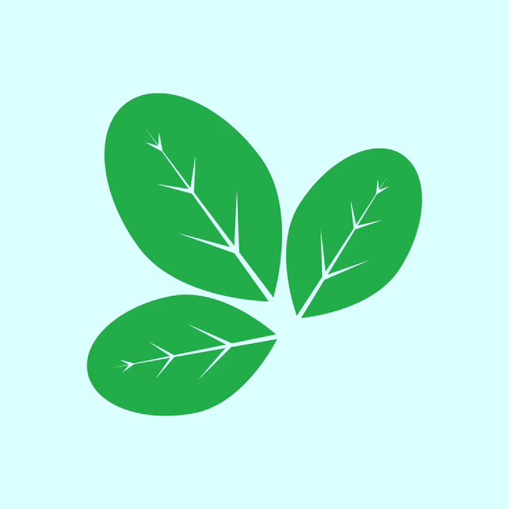 moringa acv